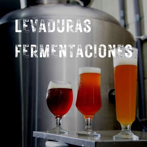 Levaduras y fermentación