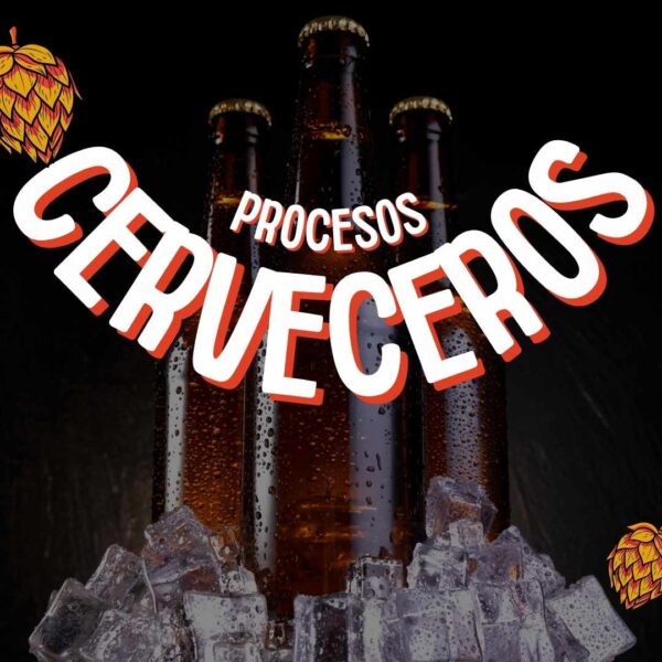 procesos cerveceros