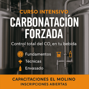 Carbonatación Forzada: de la Teoría a la Práctica (26 de julio) online en vivo