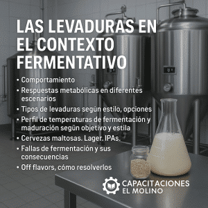 Levaduras y fermentación ASINCRÓNICO