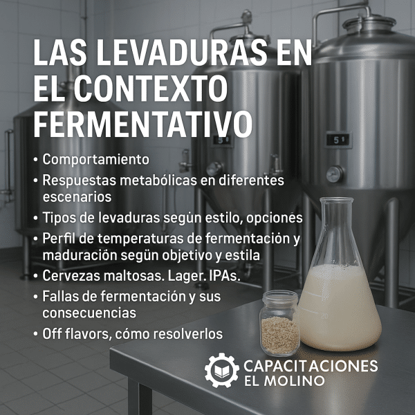 Levaduras y fermentación ASINCRÓNICO