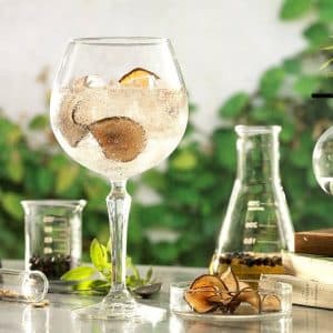 Elaboración de gin 20 de diciembre